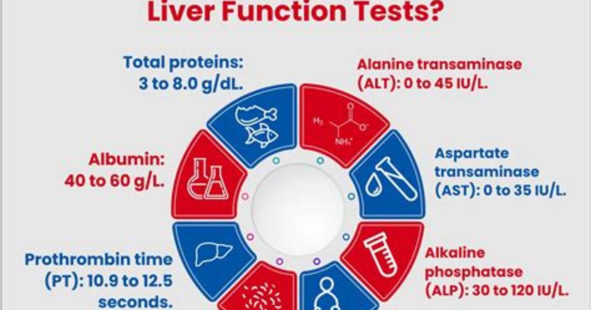 Should Liver Function Tests Be Fasting?