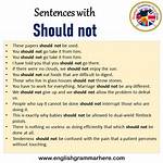 Should Not Sentences Examples?