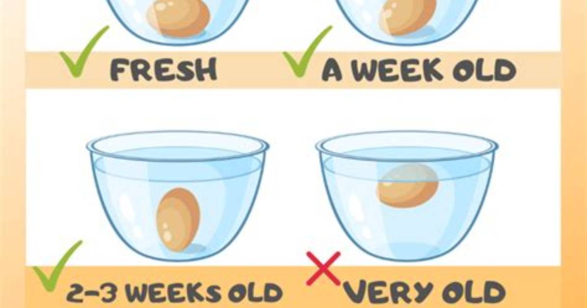 Should Quails Eggs Float?
