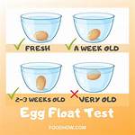 Should Quails Eggs Float?
