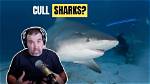 Should Sharks Be Culled?