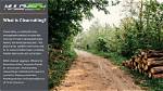 Should We Stop Clear Cutting?