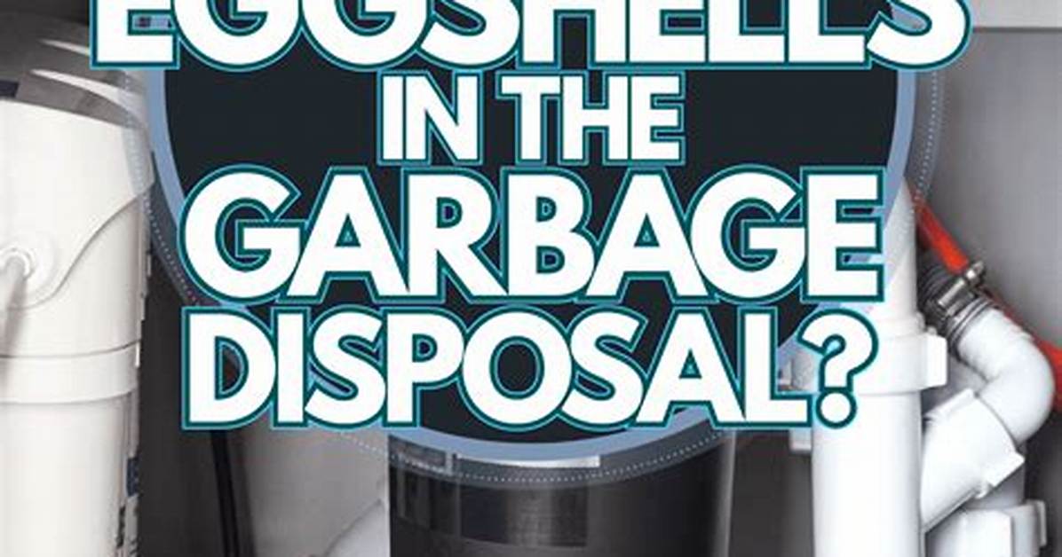 Should You Put Eggshells Down a Garbage Disposal?