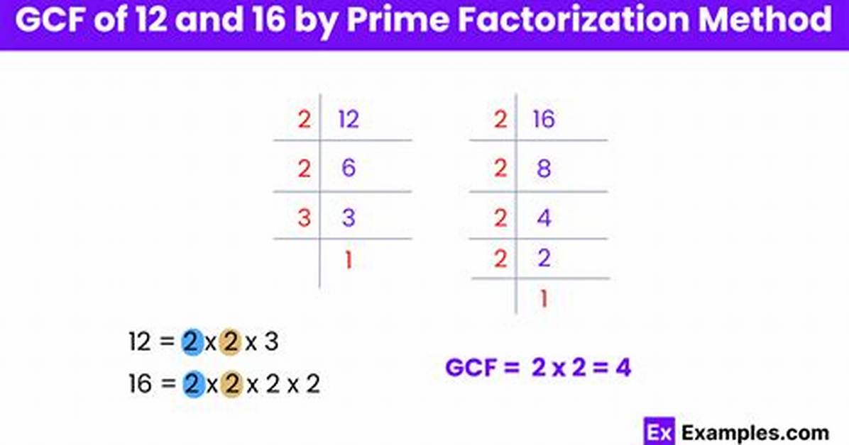 Show Factorization for 12