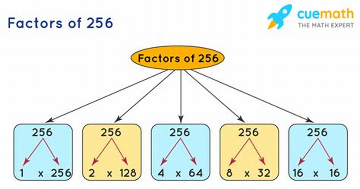 Show Factorization for 256