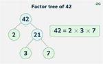 Show Factorization for 42