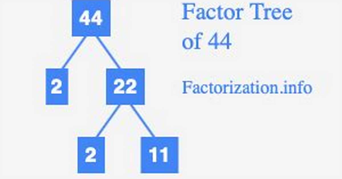 Show Factorization for 44