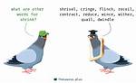 Shrink Synonym