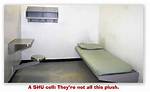 Shu Prison