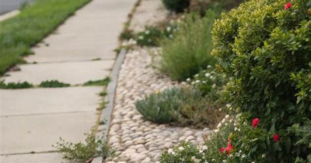 Sidewalk Edges