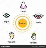 Sight or Hearing for Example