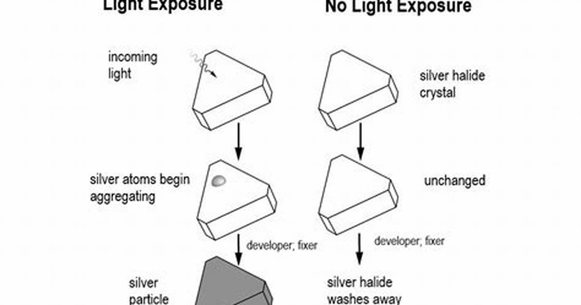 Silver Halide