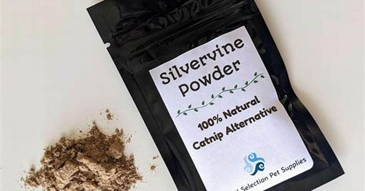 Silvervine