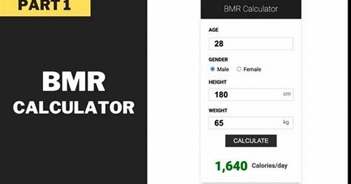 Simple Bmr Calculator Html Javascript