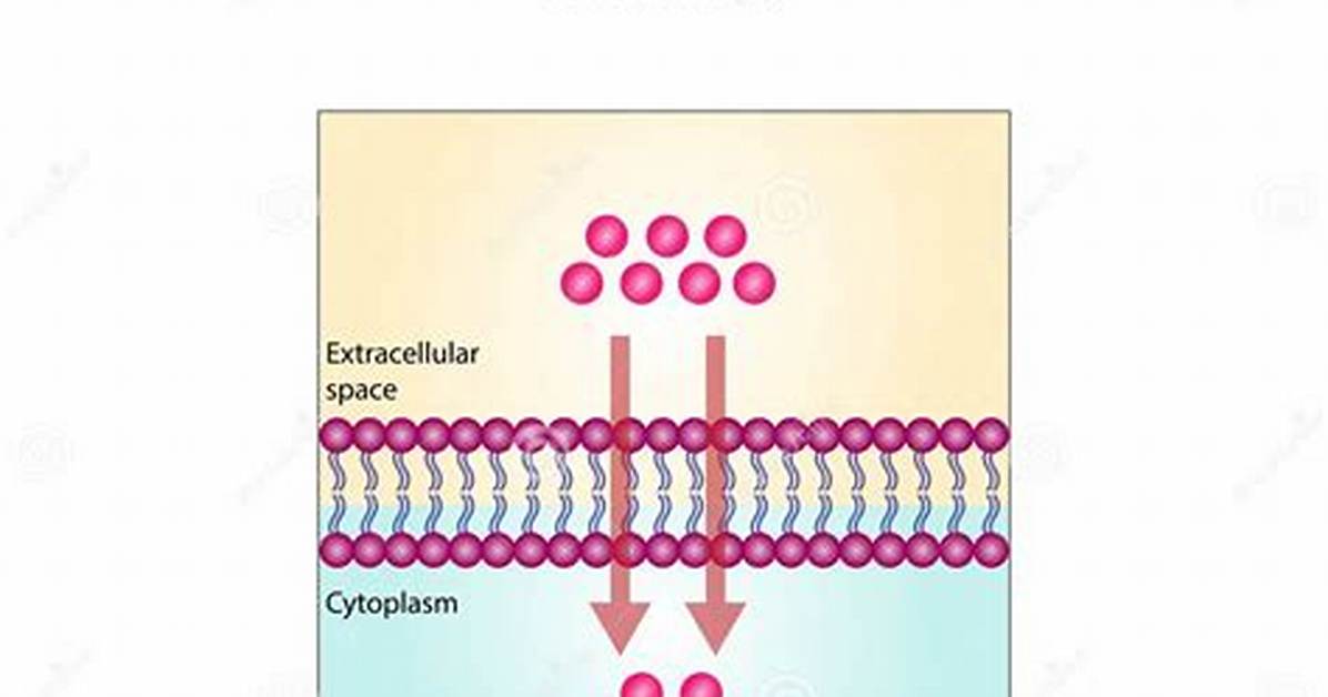 Simple Diffusion Example