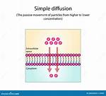 Simple Diffusion Example