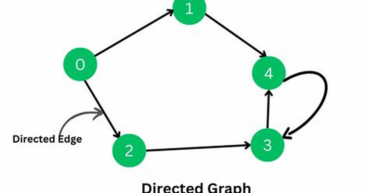 Simple Directed Graph?