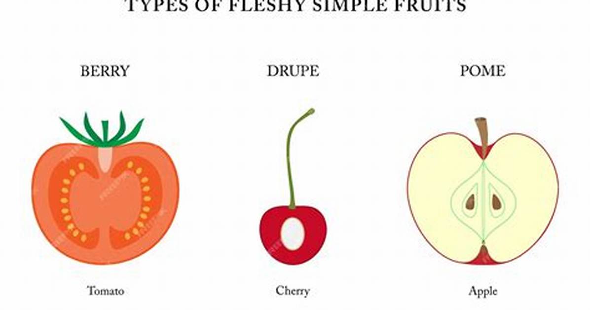 Simple Fruit
