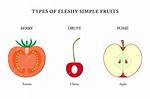 Simple Fruit