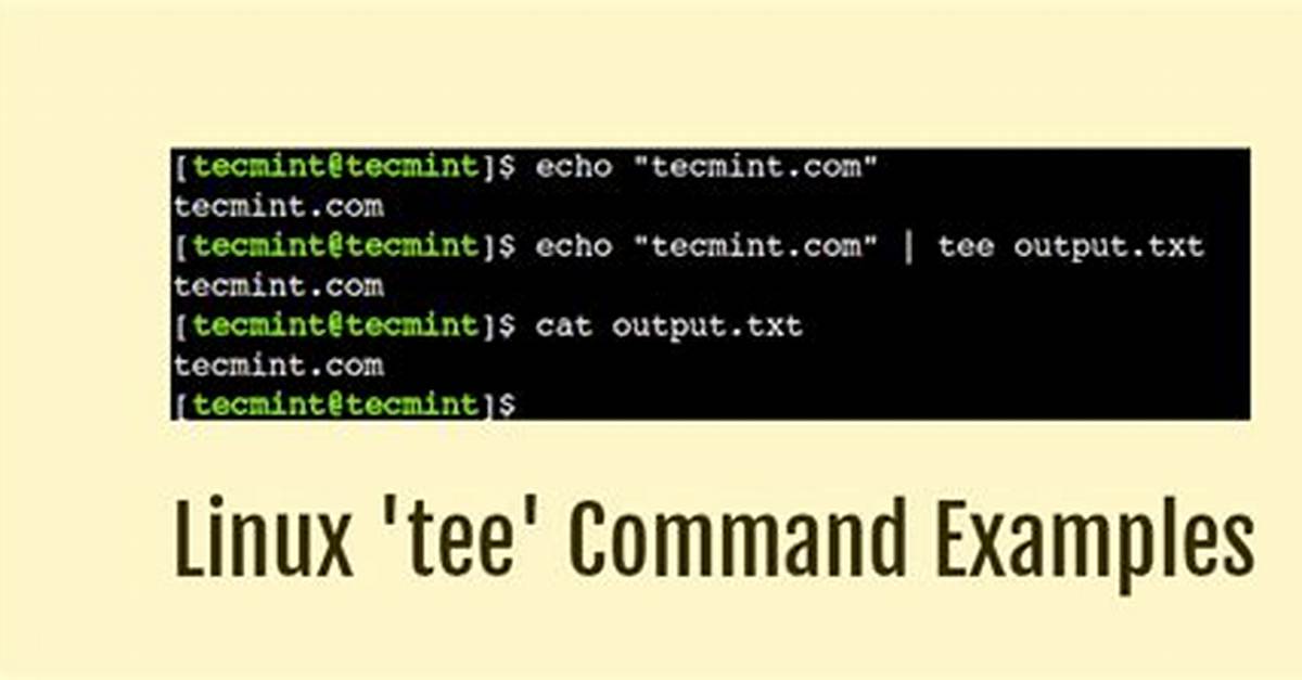 Simulate the Linux Command Tee in C