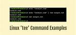 Simulate the Linux Command Tee in C