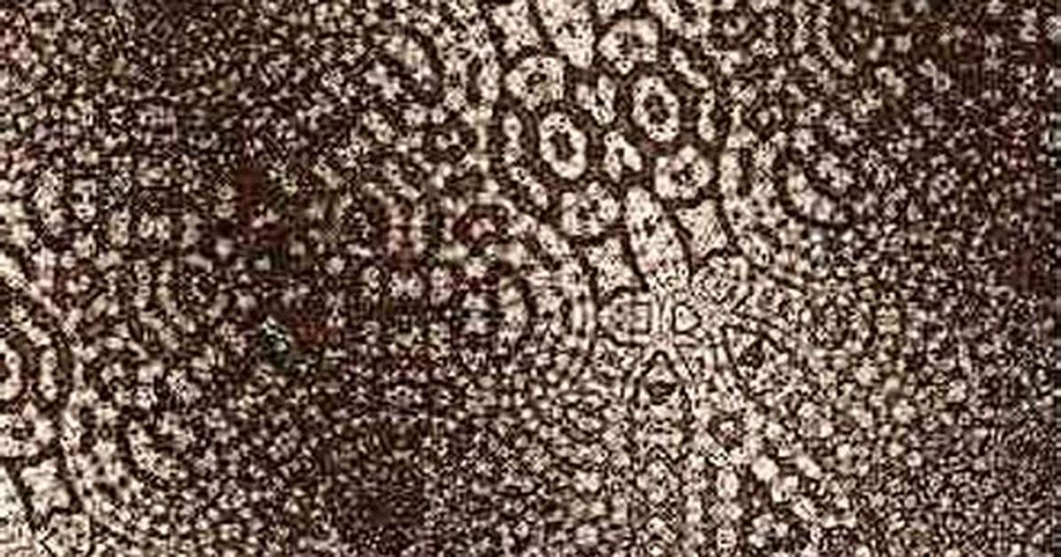 Simulated Texture