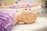 Simulation Education Program