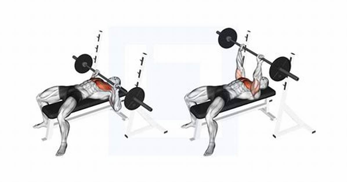 Single Bench Press for Example