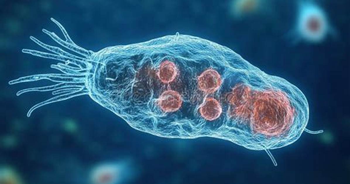 Single-Celled Creature