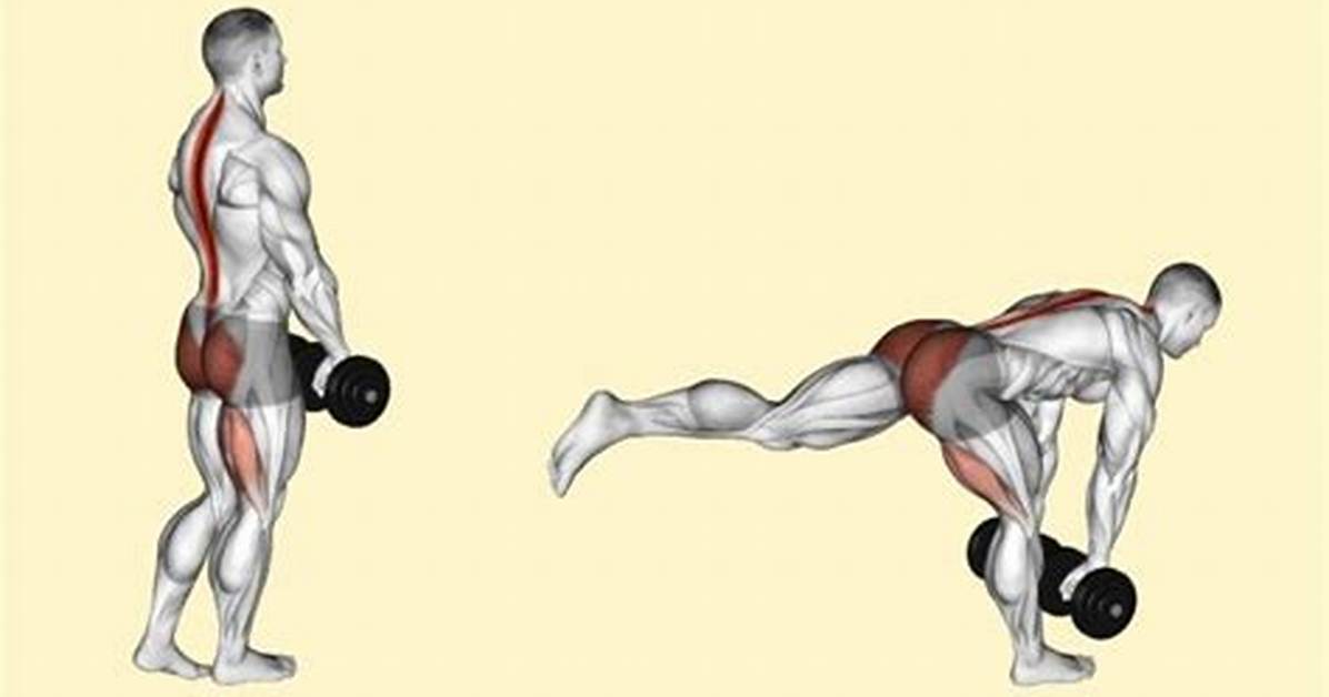 Single Leg Rdls