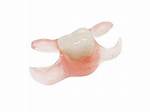 Single Tooth Flipper