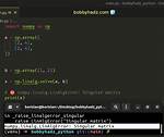 Singular Matrix Issue with Numpy