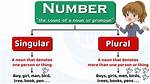 Singular Number