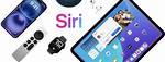 Siri's Tablet?