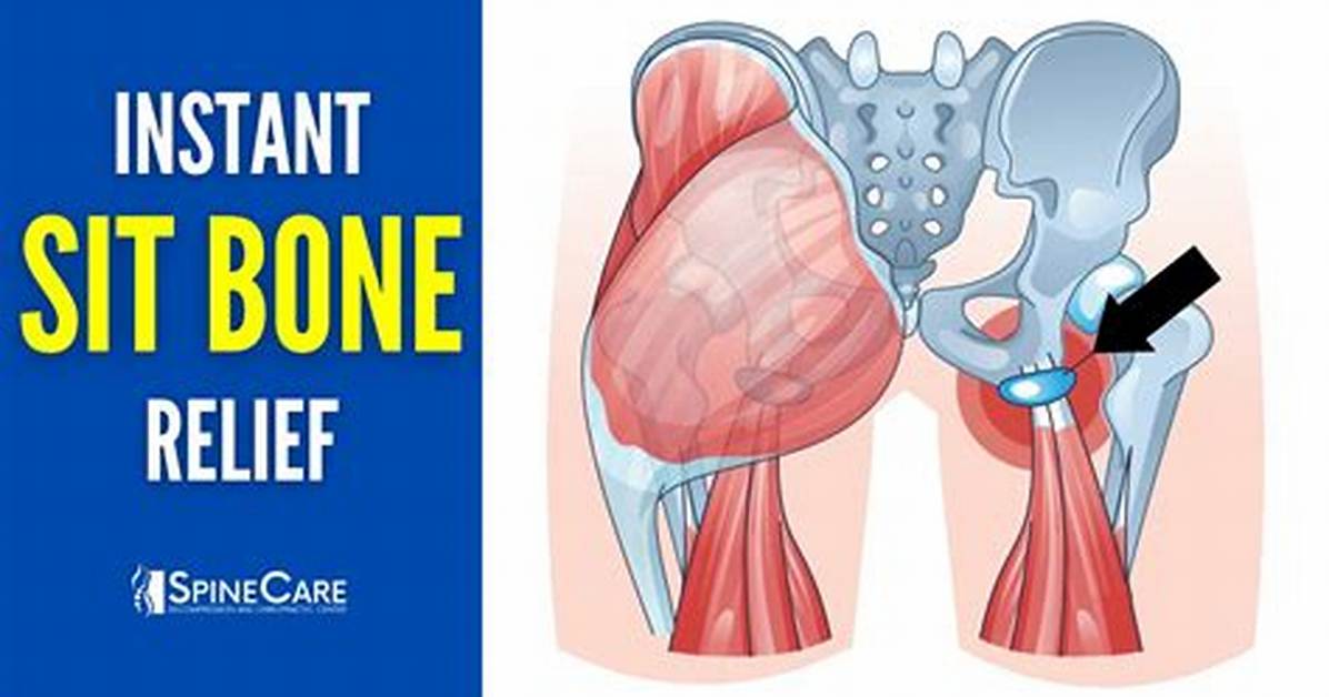 Sit Bone