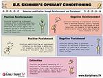 Skinner Behaviorism