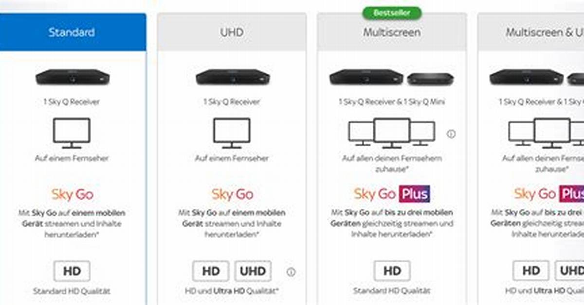Sky Multiscreen