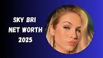 Sky Net Worth