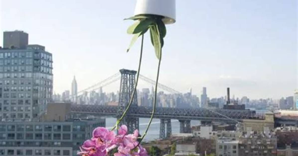 Sky Planters