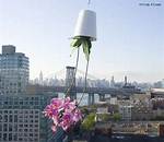 Sky Planters