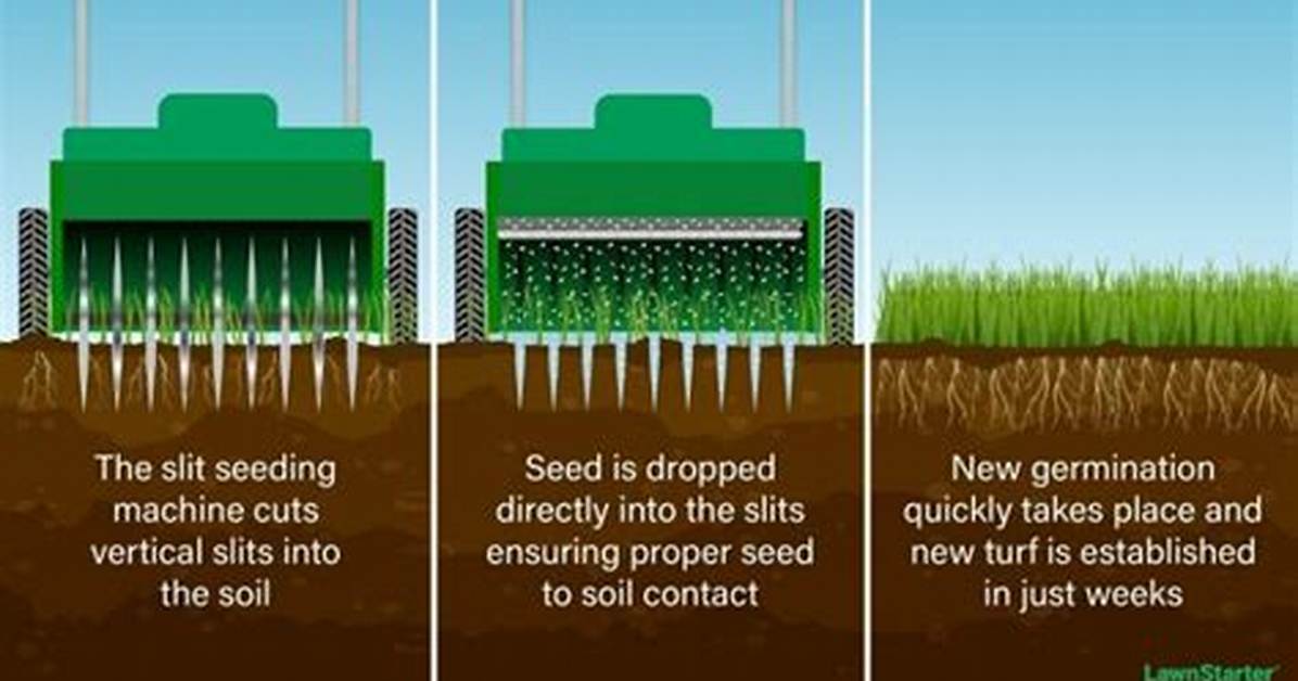 Slice Seeder