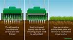 Slice Seeder