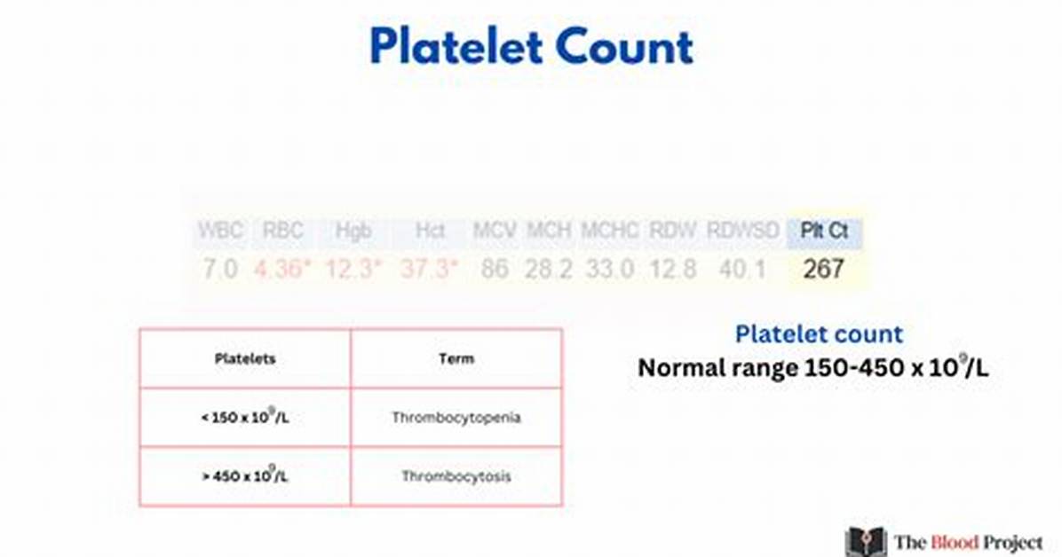 Slightly Elevated Platelet Count