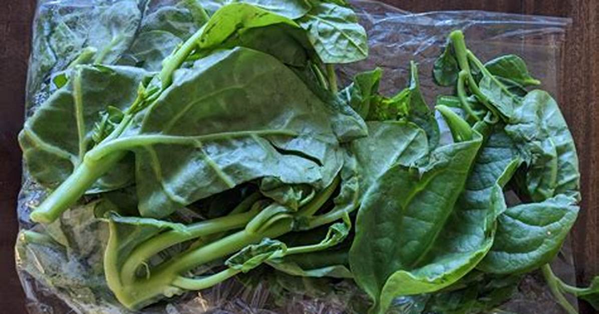 Slimy Vegetable