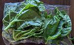 Slimy Vegetable