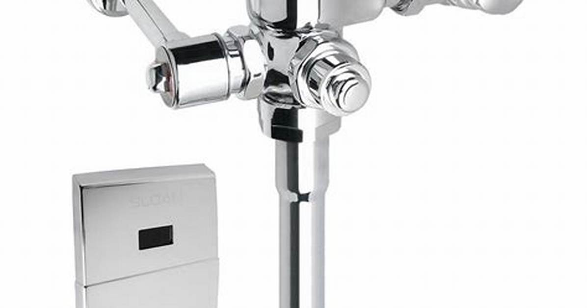 Sloan Automatic Flush Valve