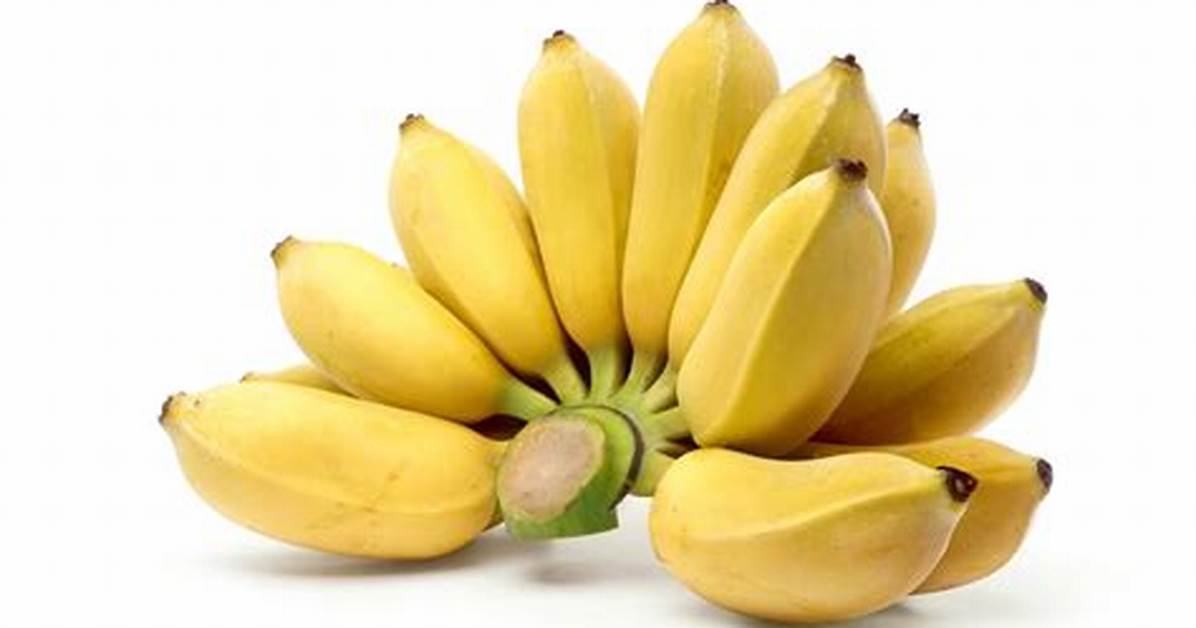 Small Bananas