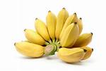 Small Bananas