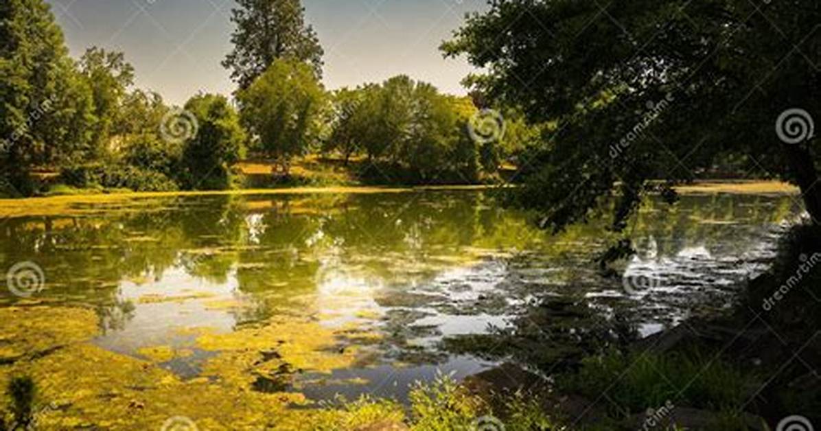Small Lake