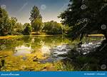 Small Lake